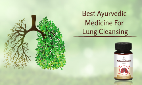 best ayurvedic medicine for lung cleansing