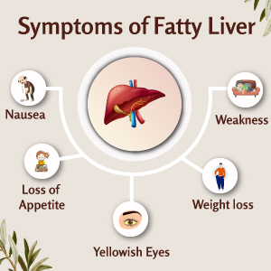 Symptoms Of Fatty Liver 